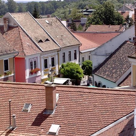 Nr 100 Szentendre Hotel Panzio Szolgaltatasok Εξωτερικό φωτογραφία